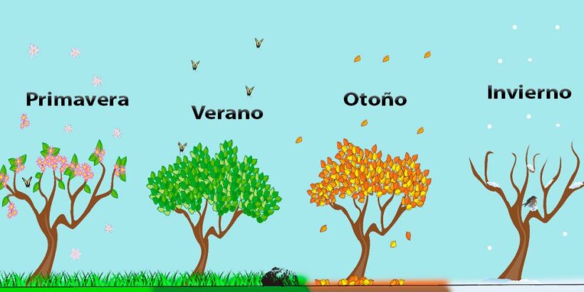 Estaciones del año